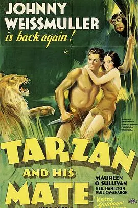 《泰山得美》：一部让你笑出腹肌的爆笑喜剧，欢乐解压首选！