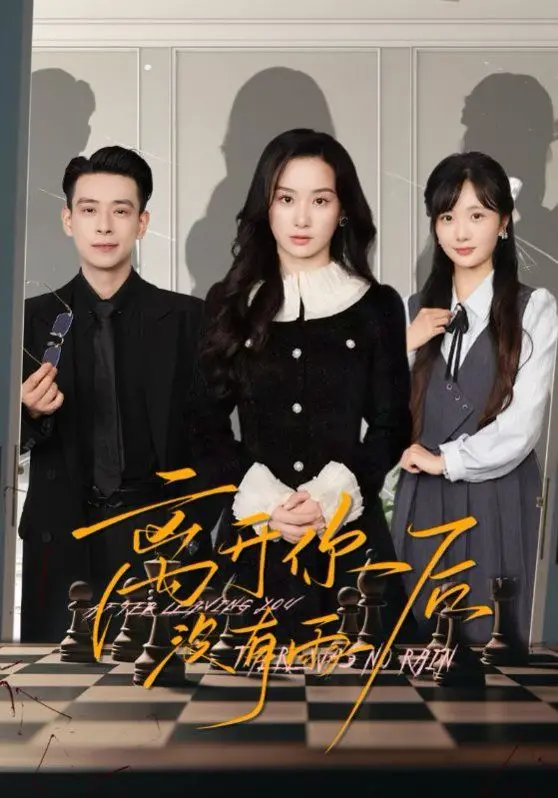 《离开你后没有雨》：一场关于失去与重生的治愈之旅，雨后总会天晴？