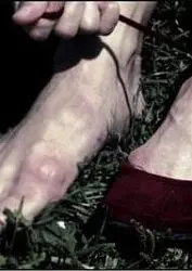 《红鞋子》：童年阴影？还是艺术隐喻？深度解析诡异动画背后的真相