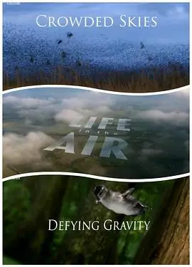 《空中生灵》：触及心灵的飞行奇遇，一场关于勇气与爱的救赎之旅