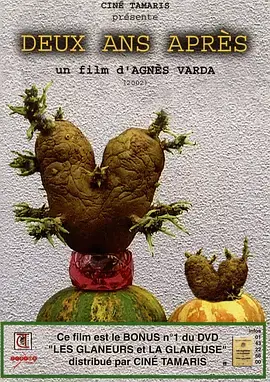 《艾格妮捡风景：两年后》：定格时光的温情叙事，寻找人生新方向的治愈之旅