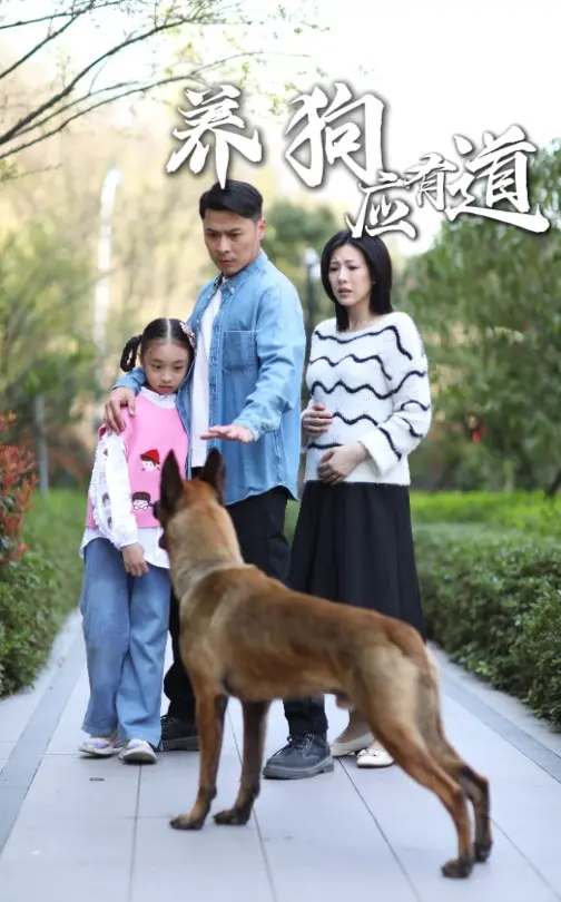 《养狗应有道》：不仅仅是宠物指南，更是关于责任、爱与成长的深度思考