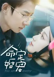 《命定婚宠》：一场精心策划的契约婚姻，看尽人性的复杂与情感的纠葛